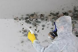 Best Real Estate Mold Inspection  in West Lealman, FL